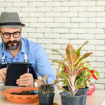 Hipster elderly men learn to take care of plants online with tab